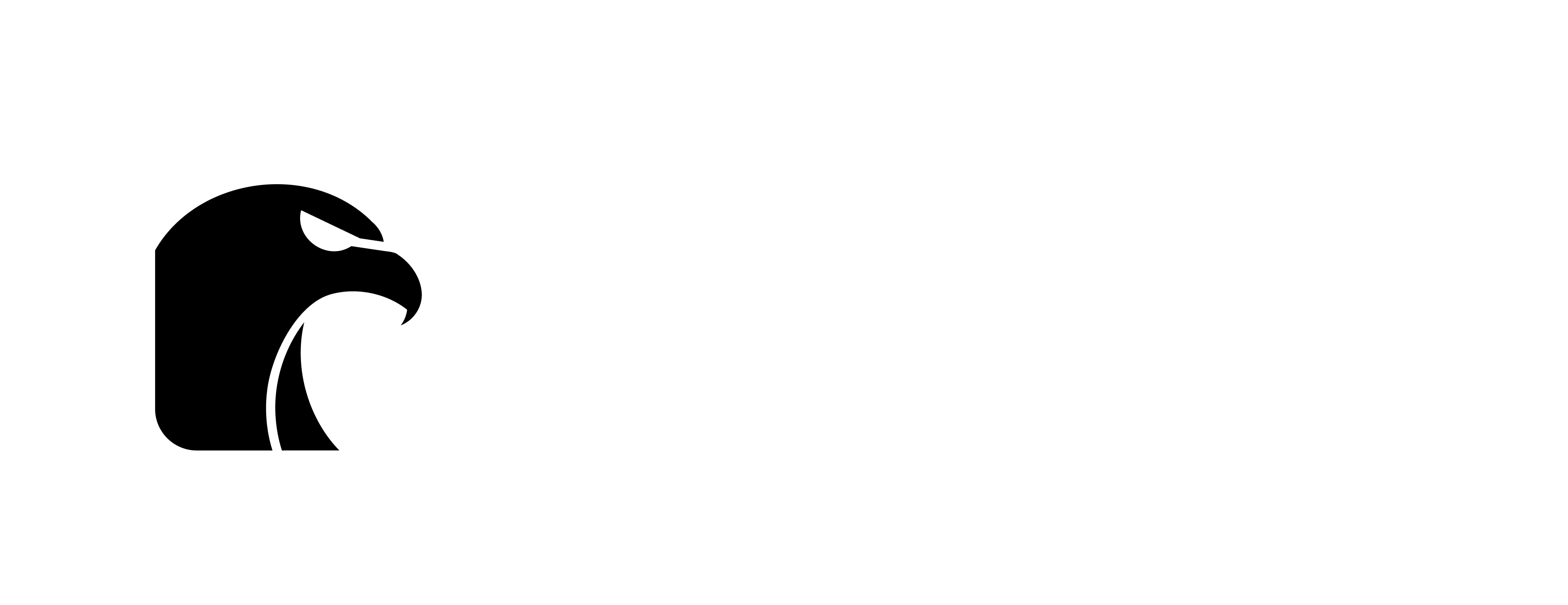 Hawky Logo